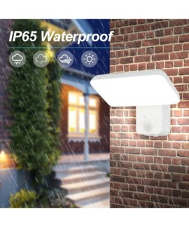 Applique Murale Extérieure LED avec Détecteur de Mouvement Orientable